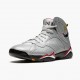 Reps BV6281-006Air Jordan 7 Retro Reflections of A Champion Jordan Shoes